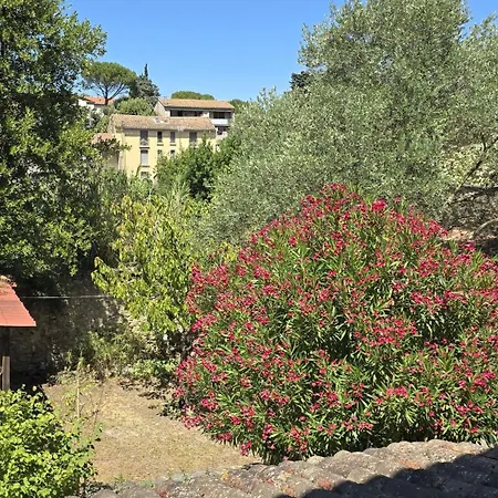 Maison Au Pied De La Cite Medievale Holiday home Carcassonne
